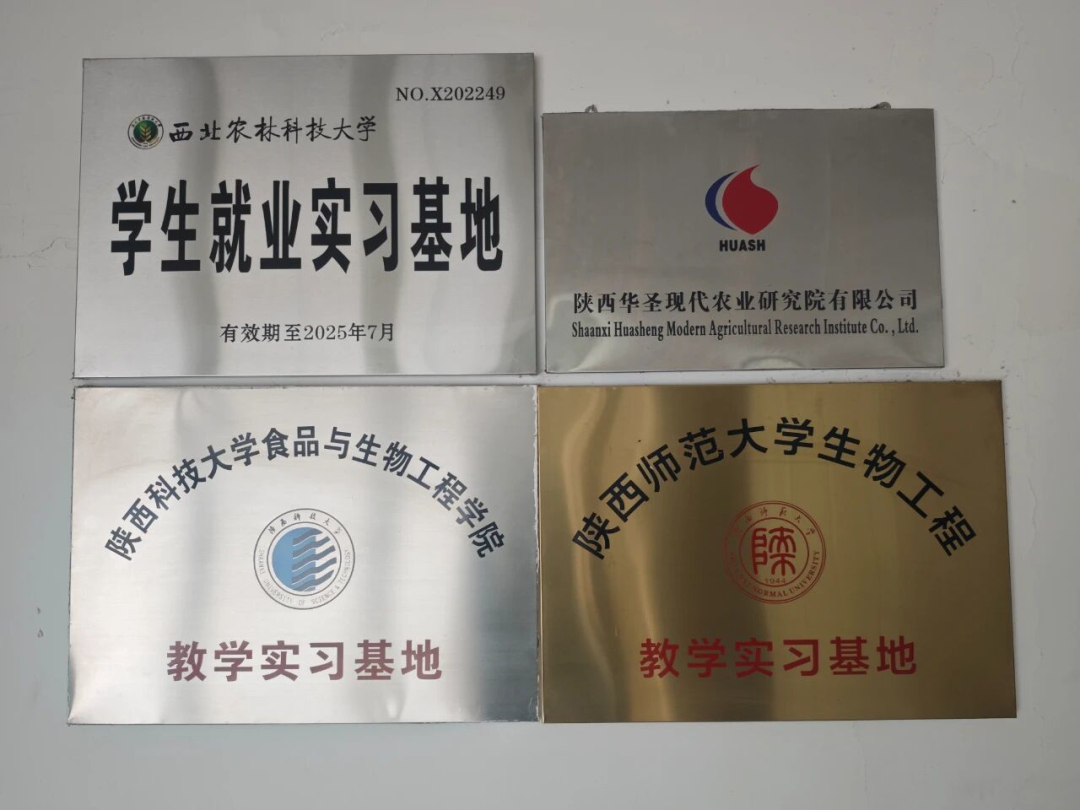 1764663342366886.jpeg 3.jpg