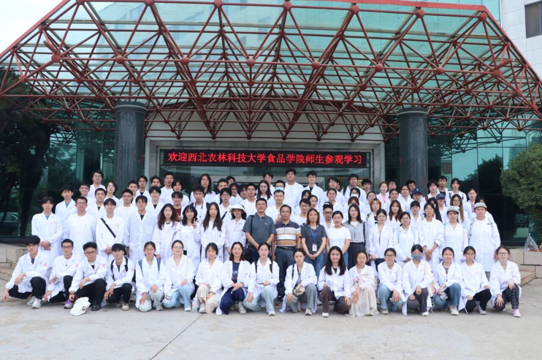 1764663404193628.jpeg 4.jpg